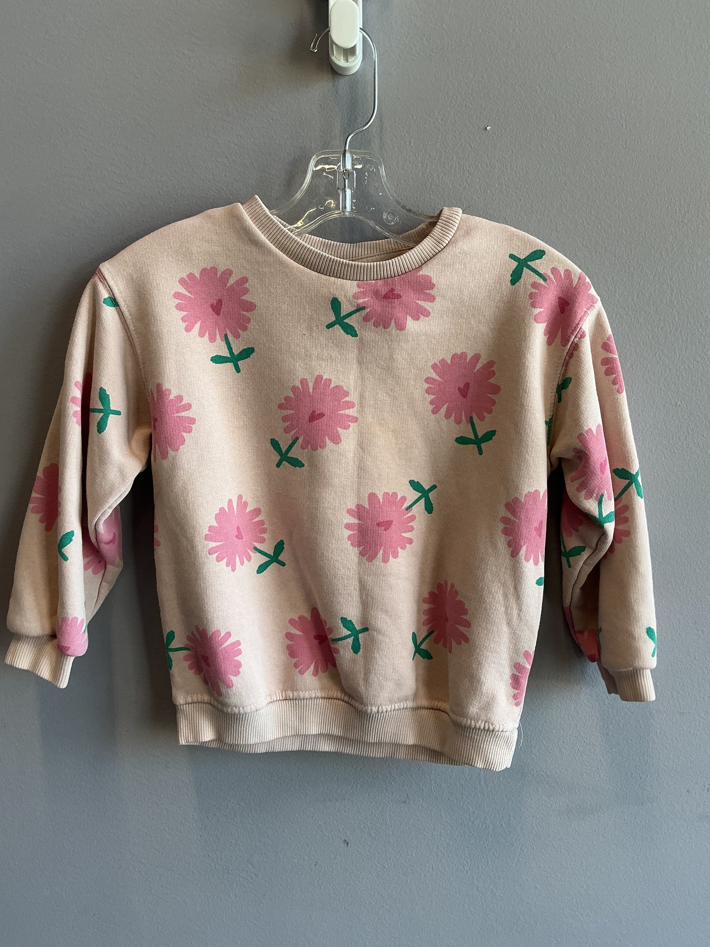 Zara Pullover Sweater Size. 4