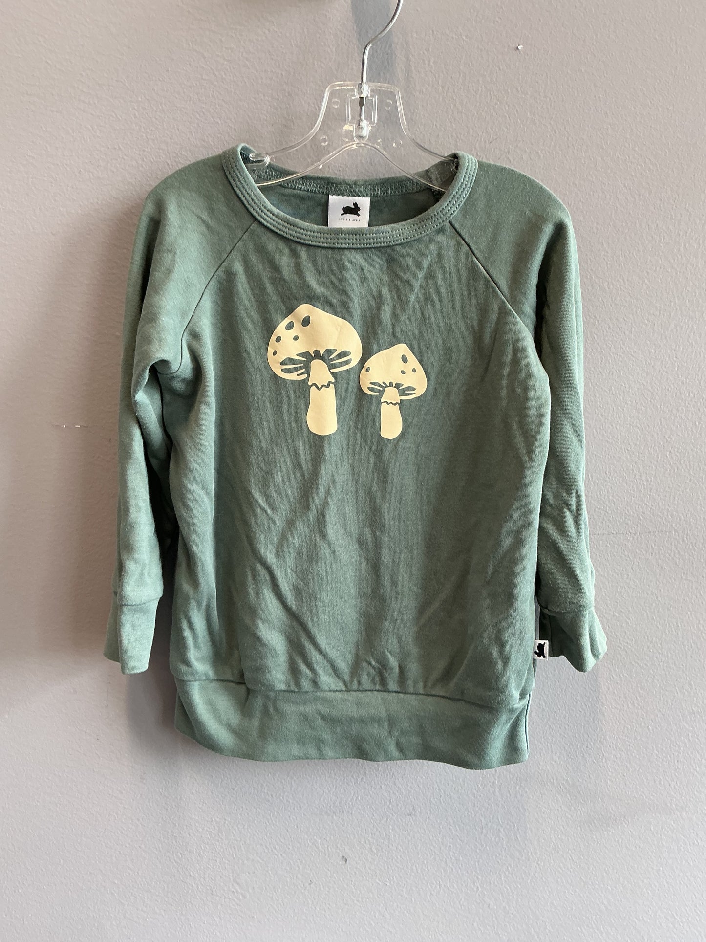 Little & Lively Long Sleeve Top 2T