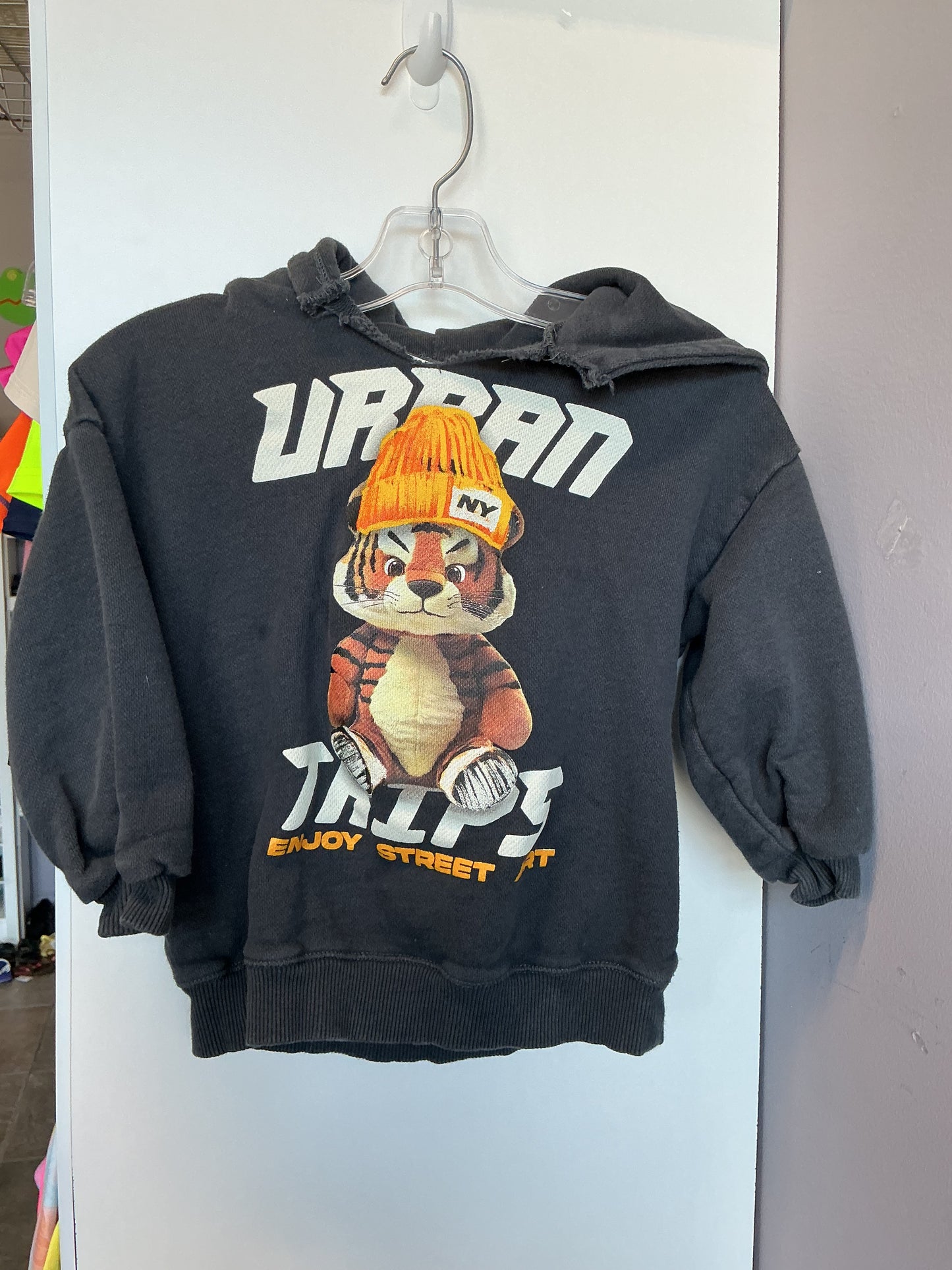 Zara Hoodie 3yrs