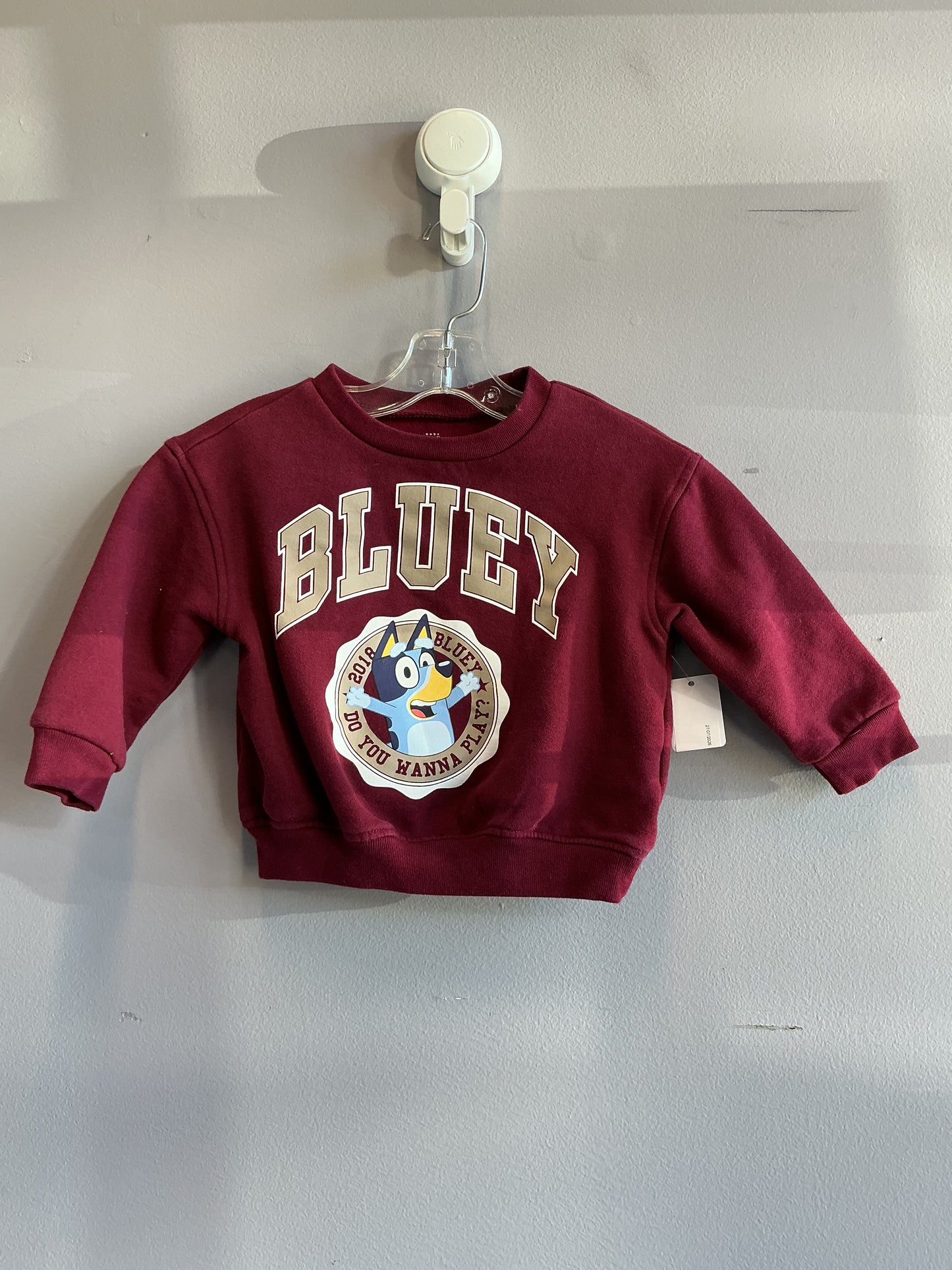 Baby Gap Bluey Crew Neck Sweater 2T