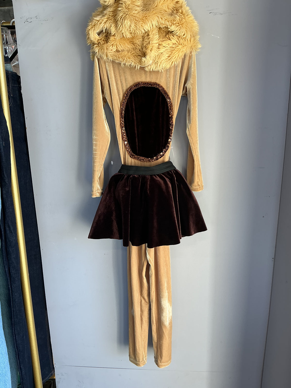 Lion Costume size 4