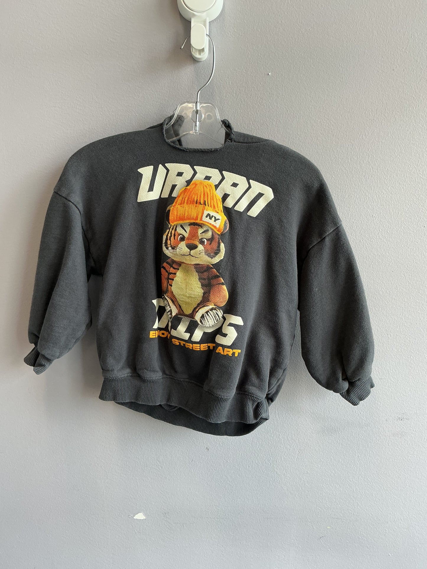 Zara Hoodie 4T