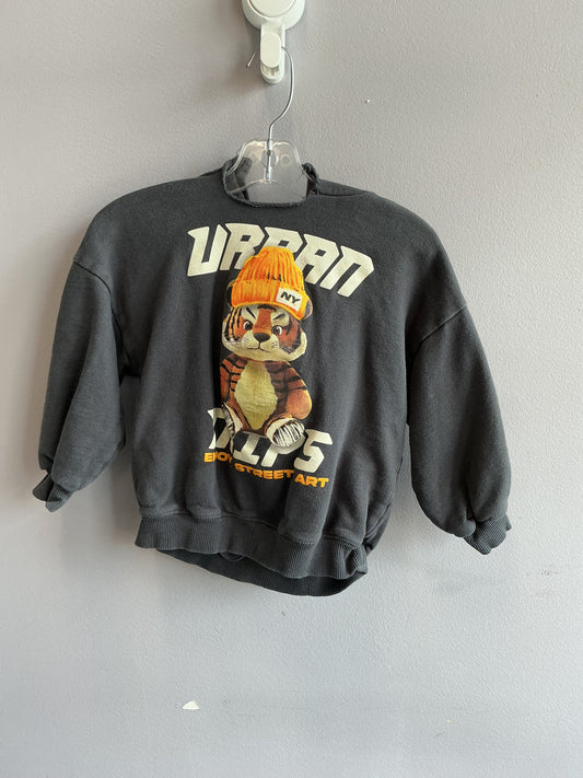 Zara Hoodie 4T