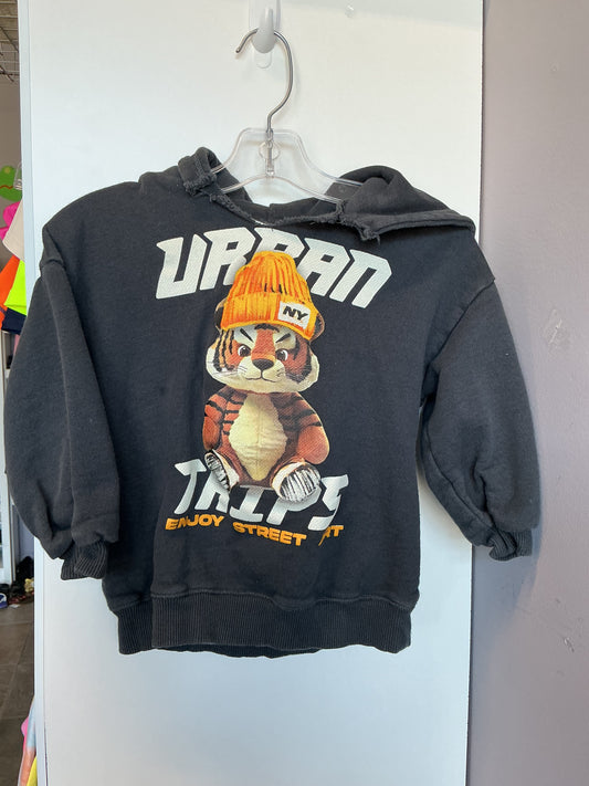 Zara Hoodie 3yrs
