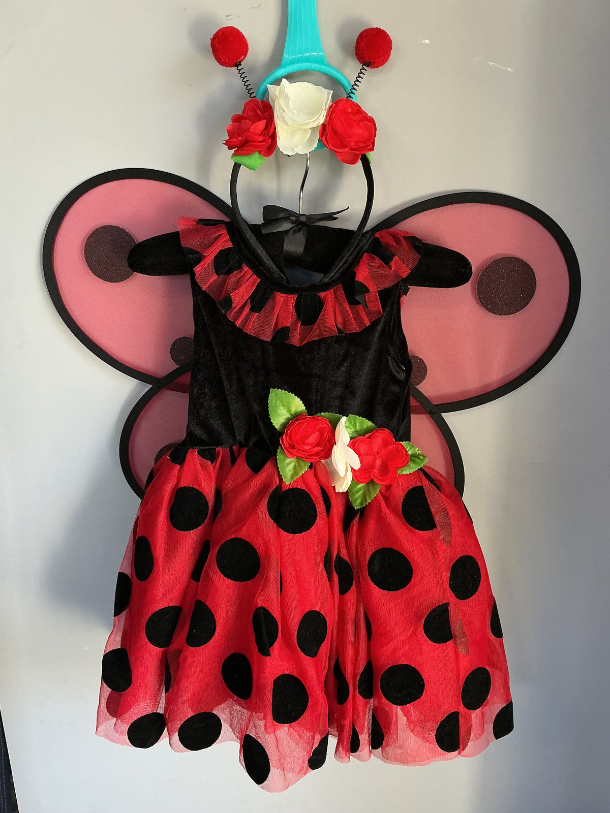 Ladybug Costume size 2