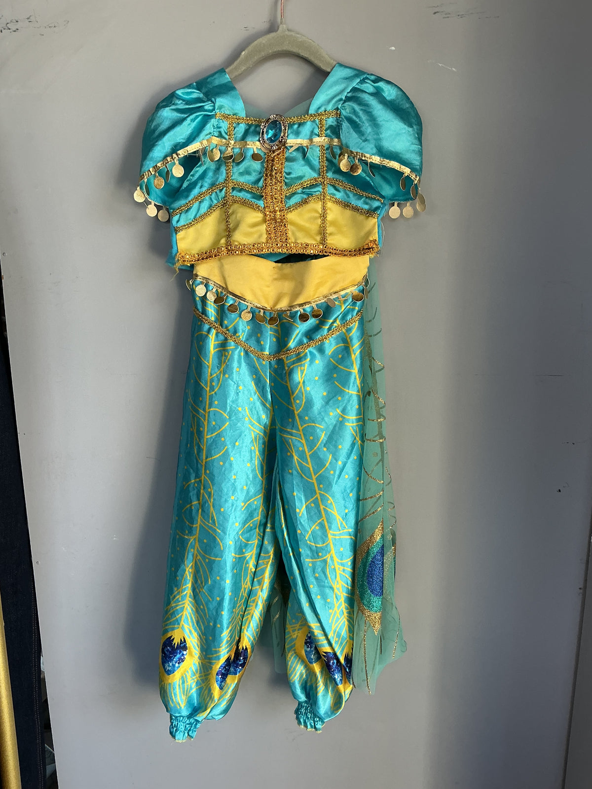 Jasmine Costume size 4