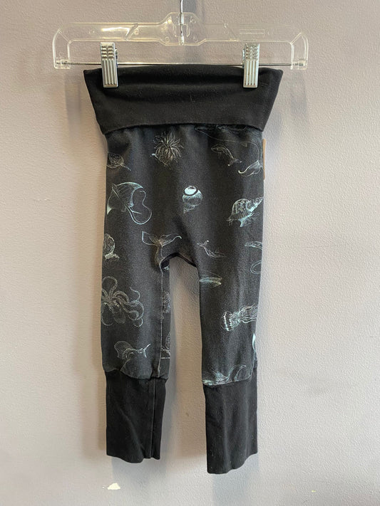 Sugar Sandwich Grow with me Pants 6M - 3Y